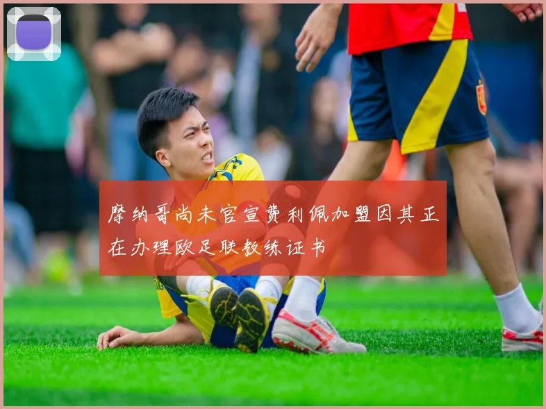 摩纳哥尚未官宣费利佩加盟因其正在办理欧足联教练证书